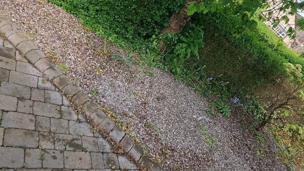 Waste Clearance Near Me