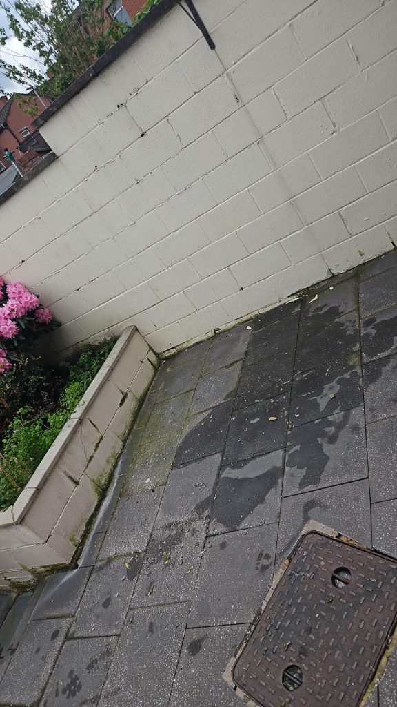 Yard Clearance Near Me