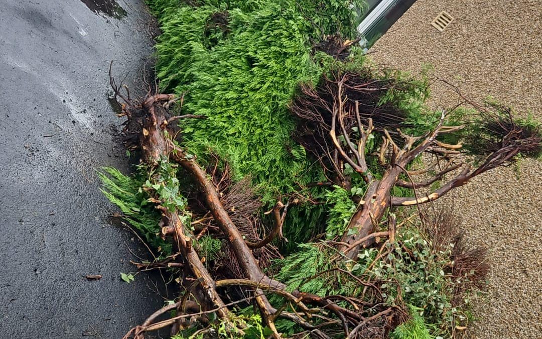 Green Waste Blackburn