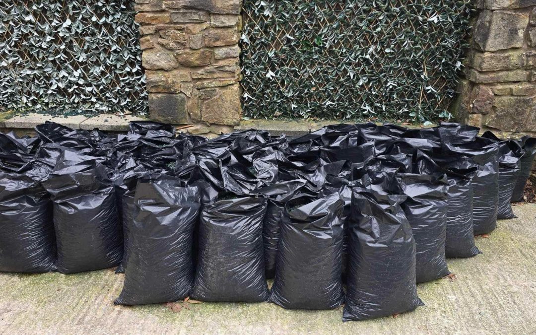 Blackburn Waste Management